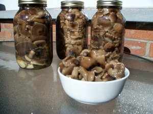 Маринованные грибы 