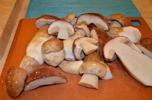 Как подготовить грибы вешенки