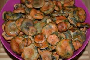 Считается, что ароматные грибы рыжики подлежат только засолке холодным способом