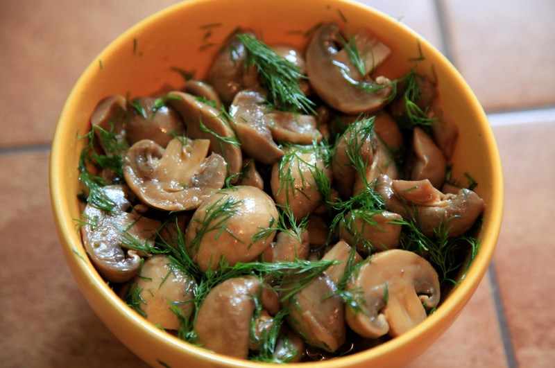 Лучшие рецепты приготовления блюд из грибов