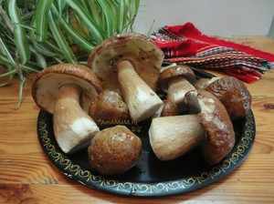 Что приготовить из белых грибов