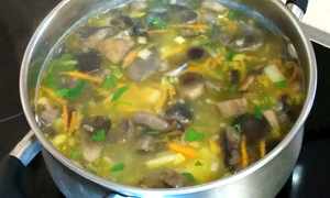 Грибной суп из сушенных грибов, рецепт приготовления 