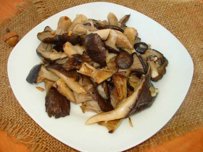 Рецепты приготовления грибов вешенок