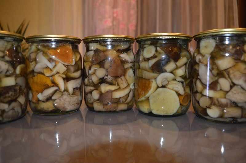 Рецепт маринования грибов
