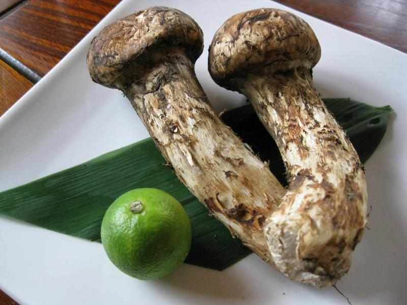 Экспорт деликатесных сортов грибов