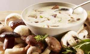 Простые рецепты приготовления грибного супа из рыжиков