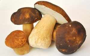 Как приготовить белые грибы