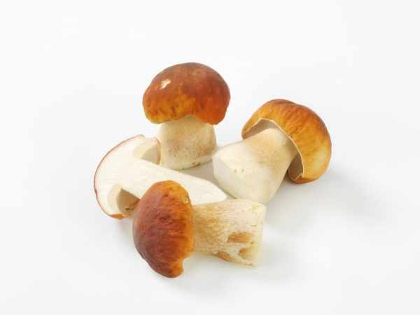 Белый гриб хорош в салатах