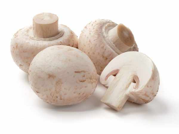 При покупке в магазине выбирают только плотные грибы со светло-молочной, белой или коричневой шляпкой