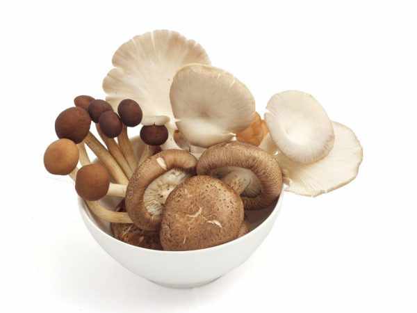 Можно ли грибы назвать овощами