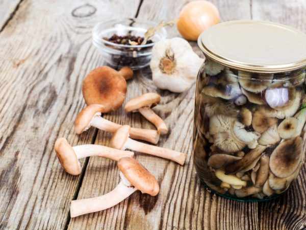 Маринованные грибы хранятся не больше года