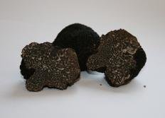 Трюфель чёрный (Tuber melanosporum)
