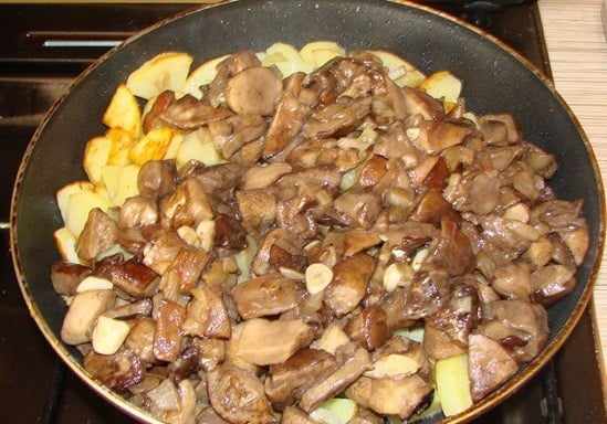 Грибы подберезовики с картошкой на сковороде. Лучшие рецепты