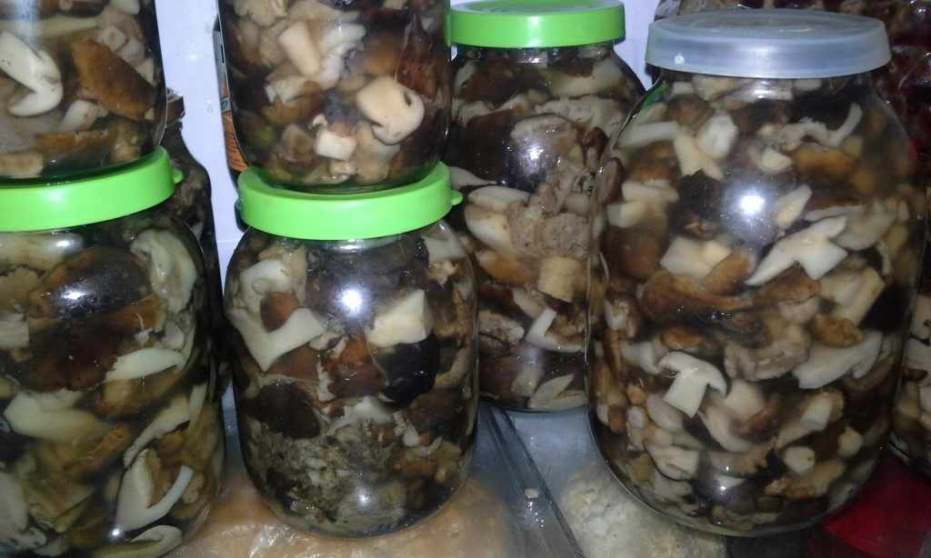 маринованные валуи - простой рецепт грибов на зиму