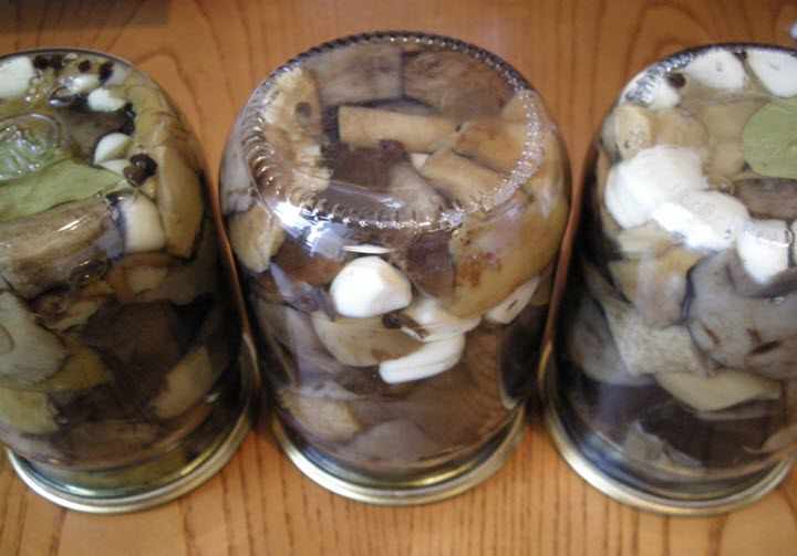 маринованные грибы подосиновики с корицей и гвоздикой