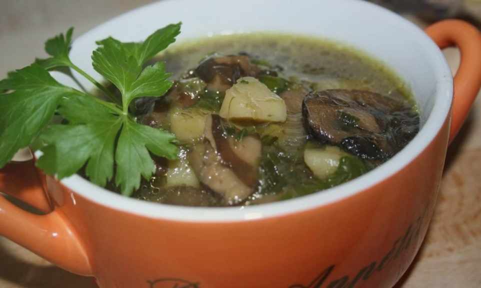 Грибной суп из подосиновиков свежих, сушеных и замороженных