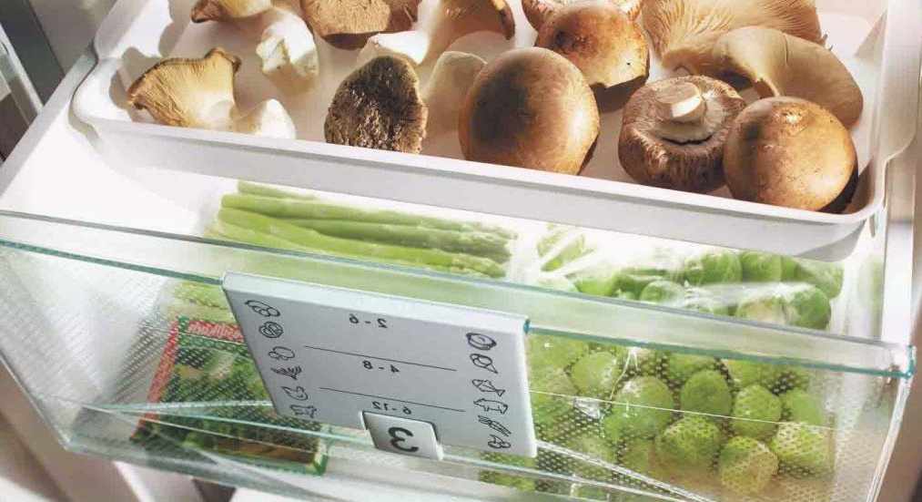 Сколько и как хранить грибы в холодильнике