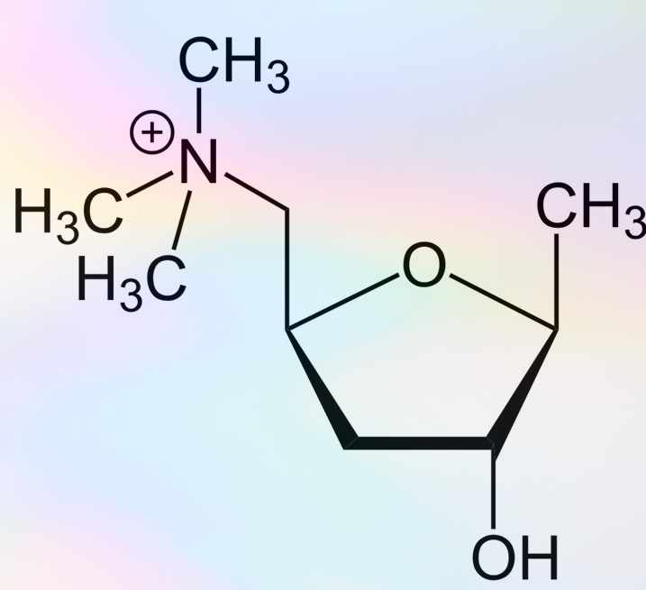 Схема химической формулы Мускаруфина