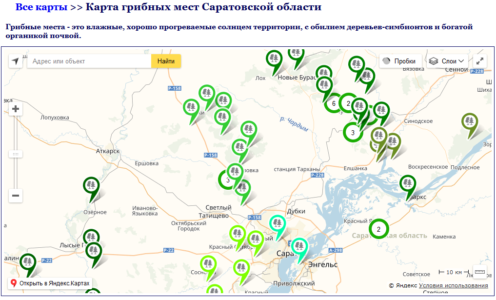 грибные места на карте Саратовской области 2019, фото 3