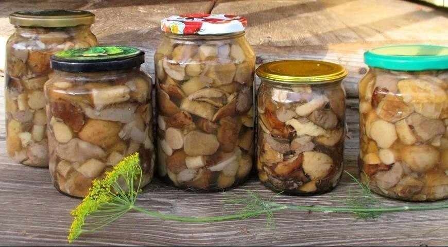 вкусный и простой рецепт маринованных белых грибов, как приготовить
