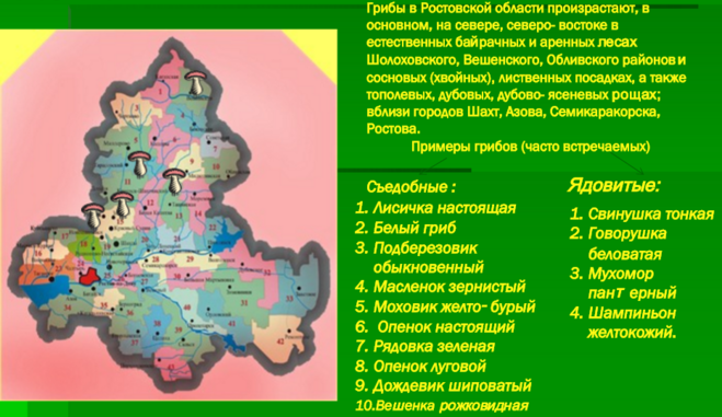 6 грибных мест Ростовской области + карта